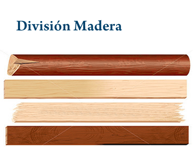 DIVISION MADERA